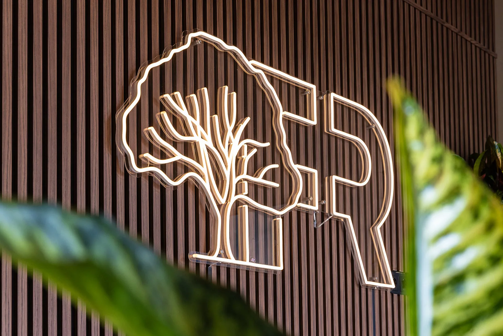 De Financiële Raadgevers - Neon entree